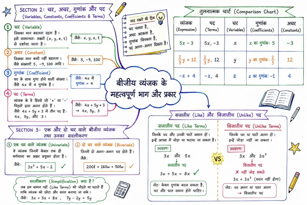 चर, अचर, गुणांक और पद (Variables, Constants, Coefficients & Terms)
